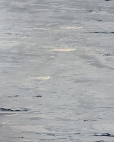 Classic-imperial-126-blue