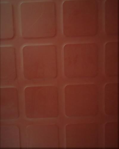 PASTILLE-BORDEAU-100X100