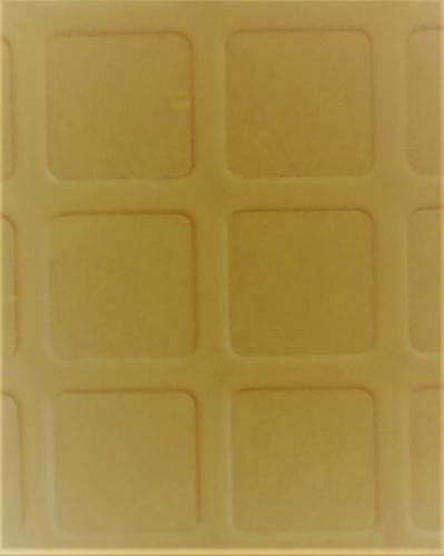 PASTILLE-CURRY-50X50