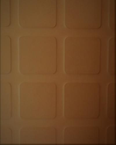 PASTILLE-PAPRIKA-50X50