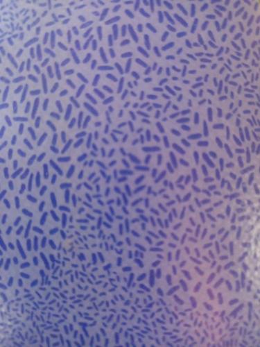 TARADAL BLEU-AFRICA-50-X-50