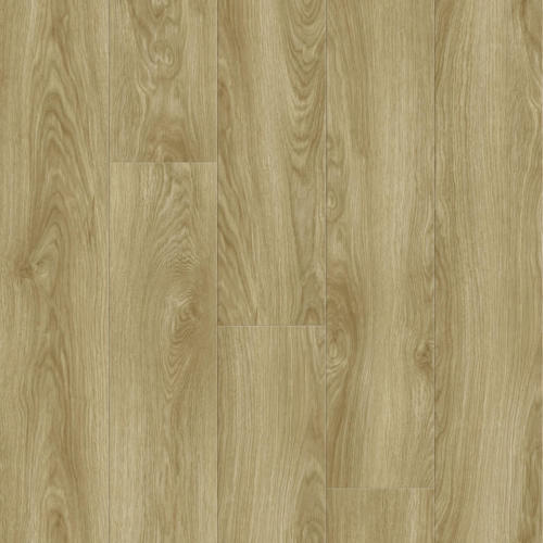 Tam Oak Origin Nature